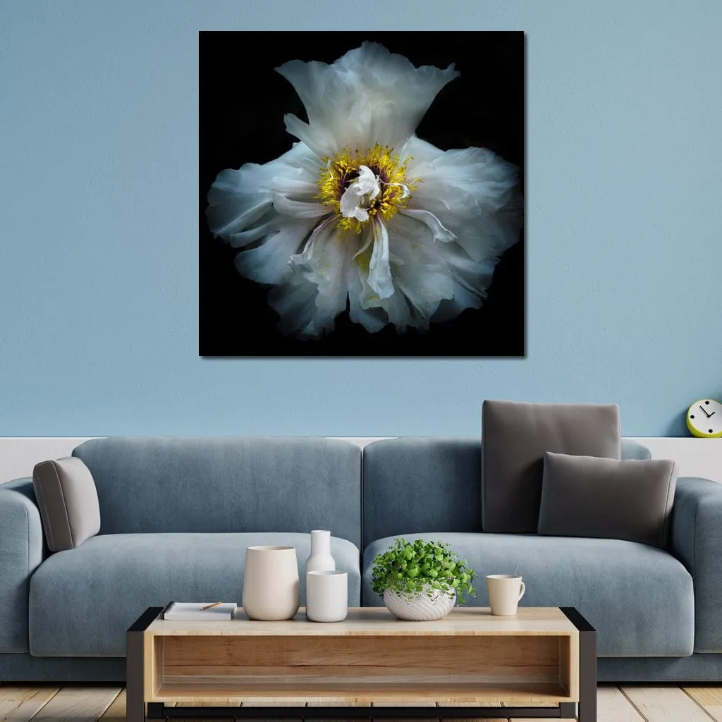 Backyard Flowers Series 4 - Brian Carson