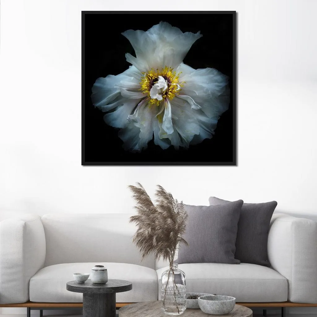 Backyard Flowers Series 4 - Brian Carson