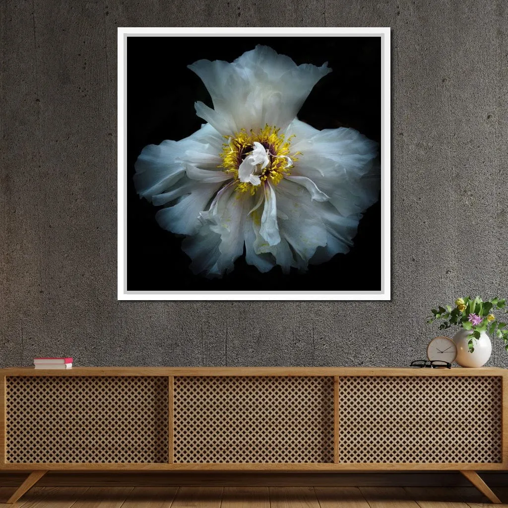 Backyard Flowers Series 4 - Brian Carson