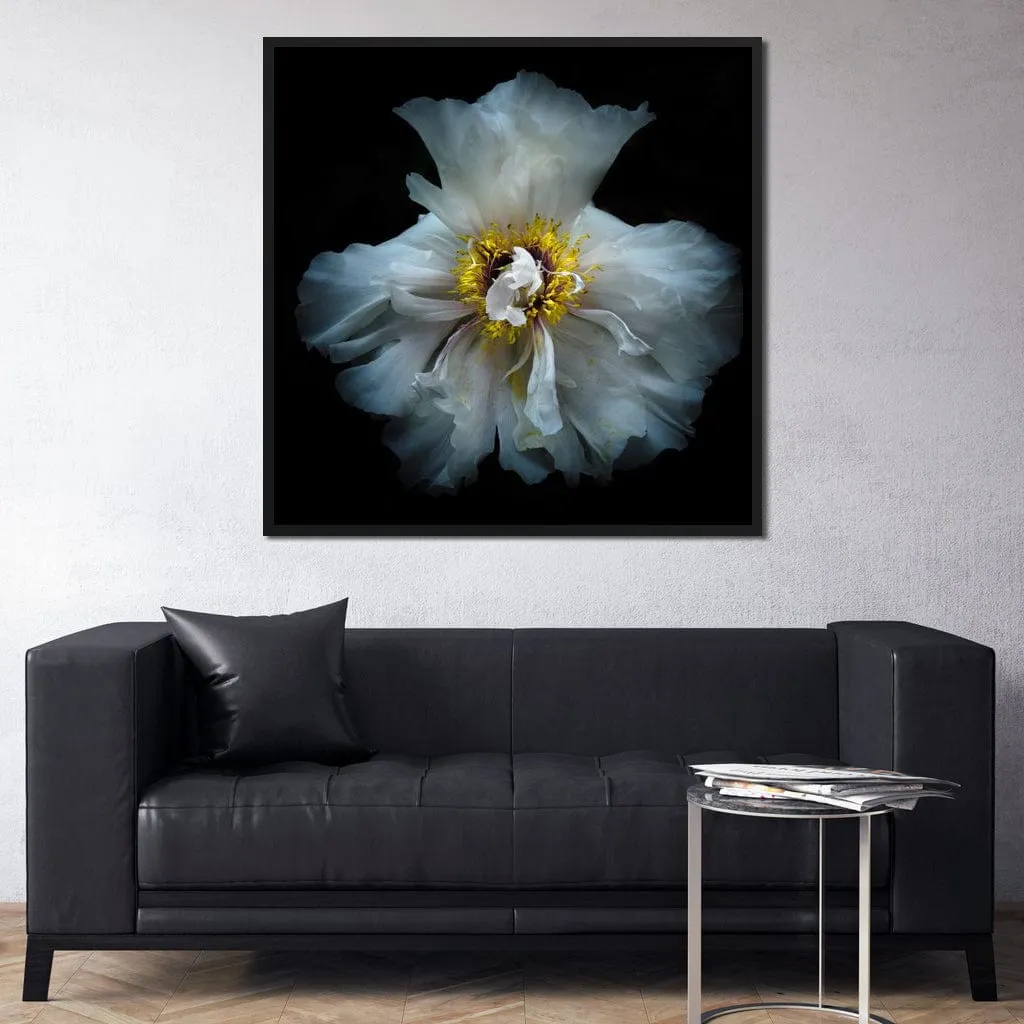 Backyard Flowers Series 4 - Brian Carson