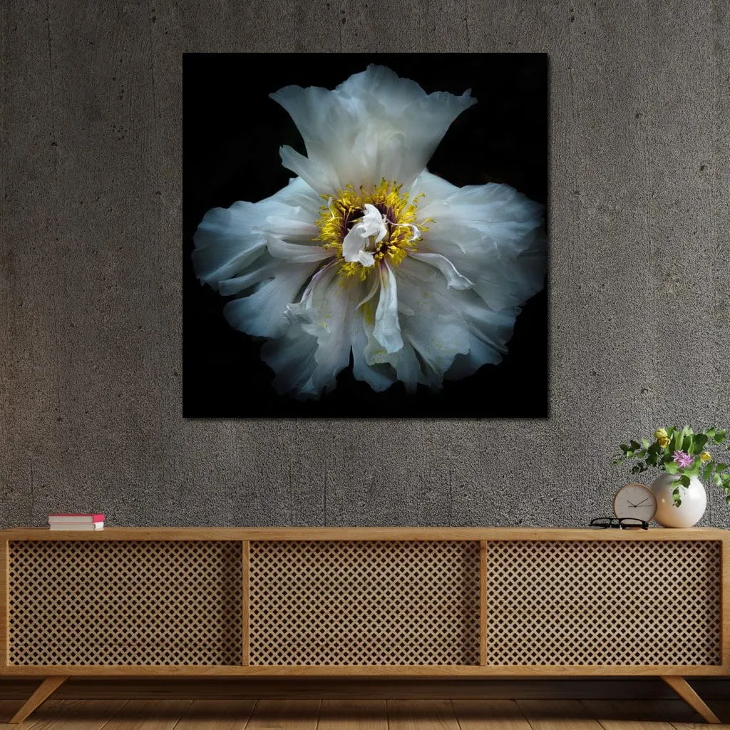 Backyard Flowers Series 4 - Brian Carson
