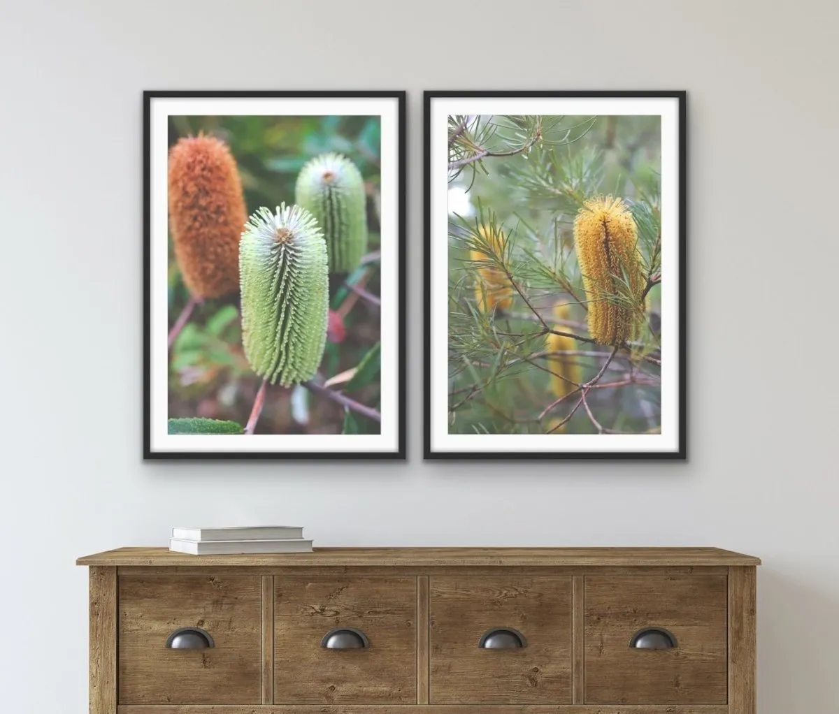 Banksia Two Piece Photographic Print Set - Australian Native Flower Wall Art
