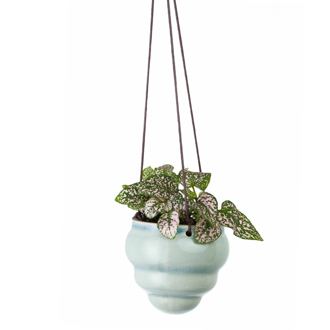 Bombini Hanging Pot Trio