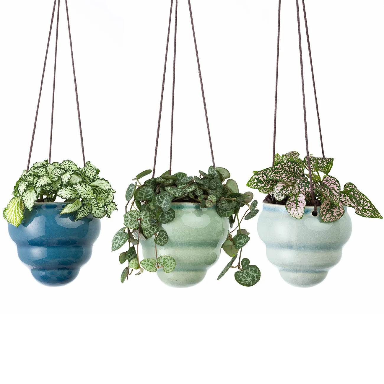 Bombini Hanging Pot Trio