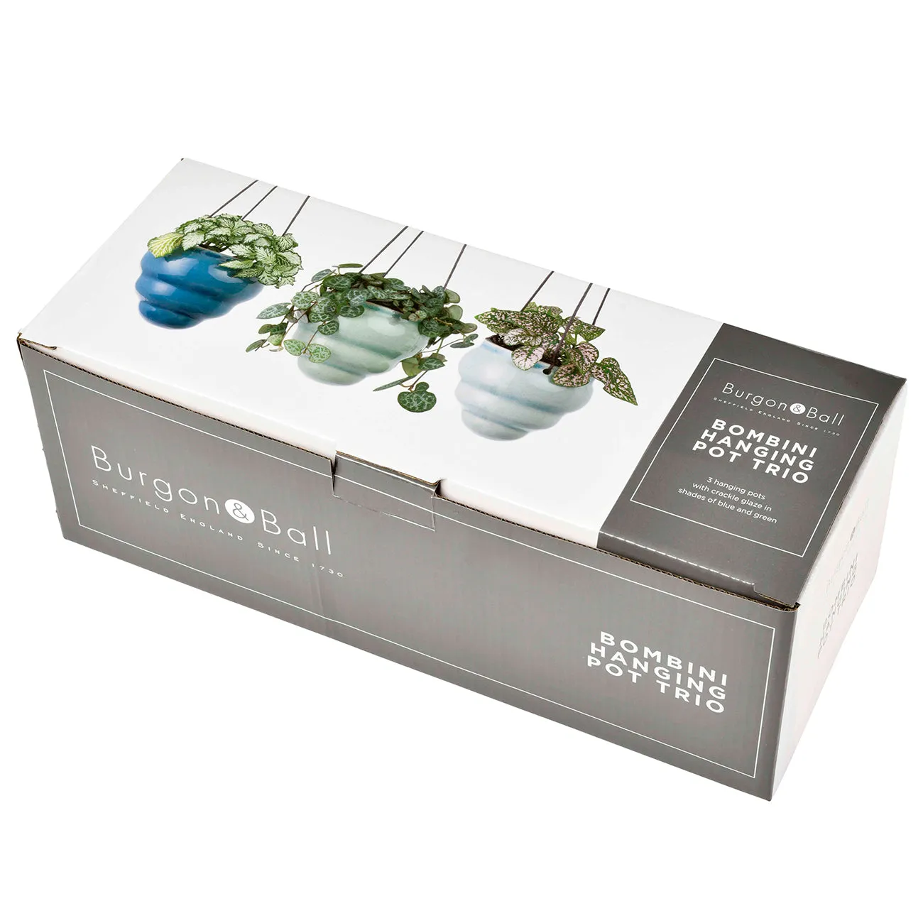 Bombini Hanging Pot Trio