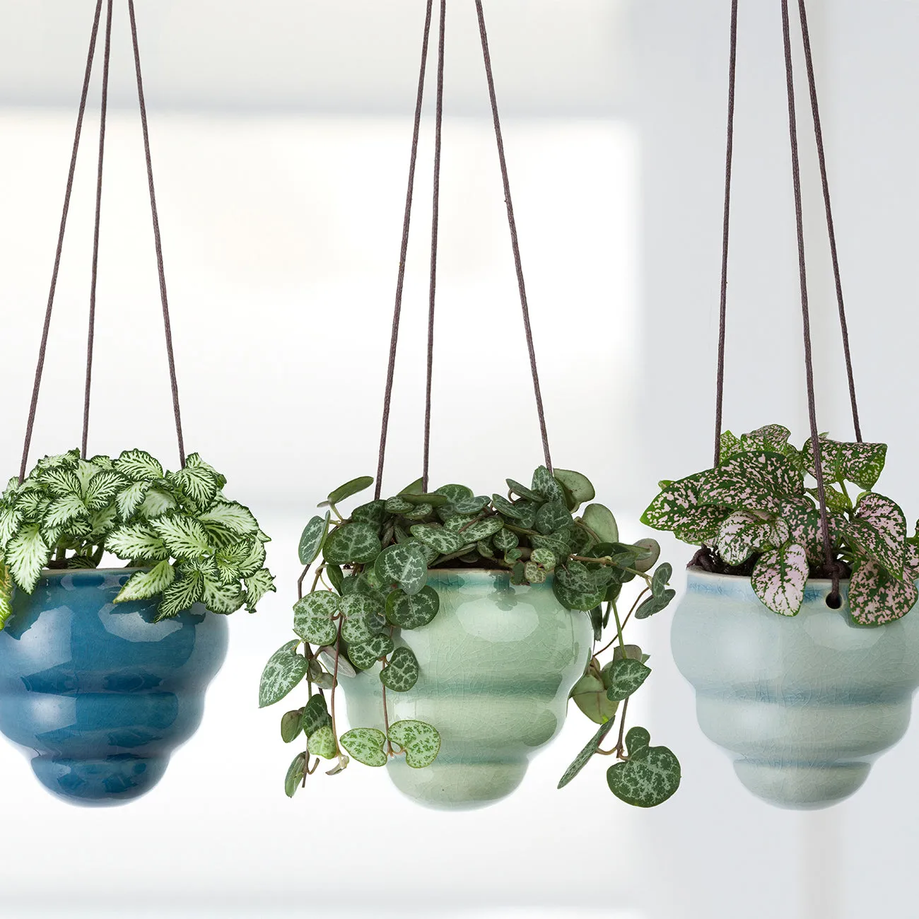Bombini Hanging Pot Trio