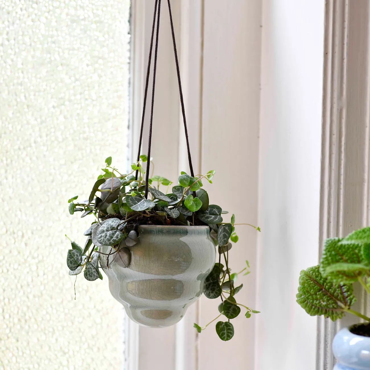 Bombini Hanging Pot Trio