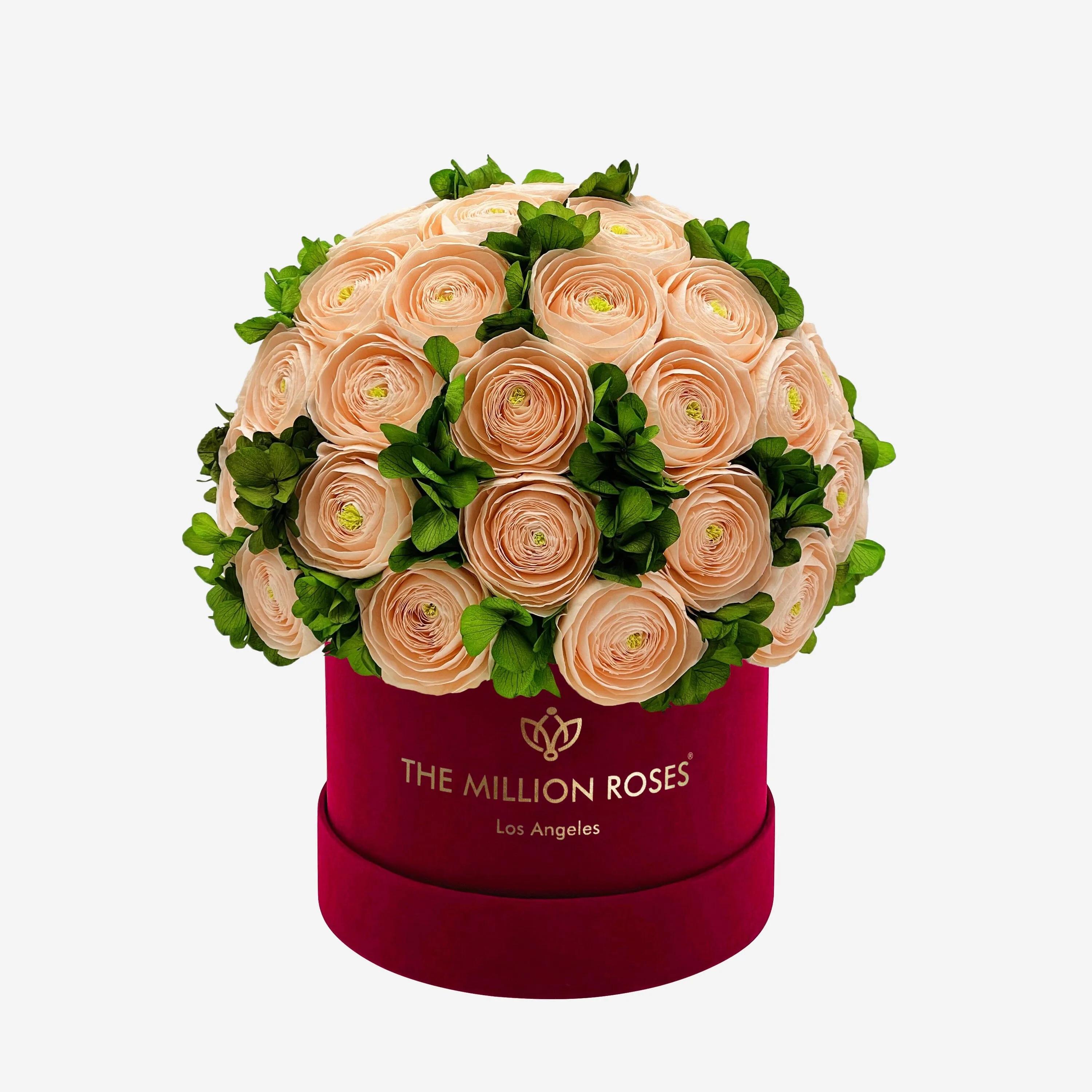 Classic Bordeaux Suede Box | Peach Persian Buttercups & Green Hydrangeas