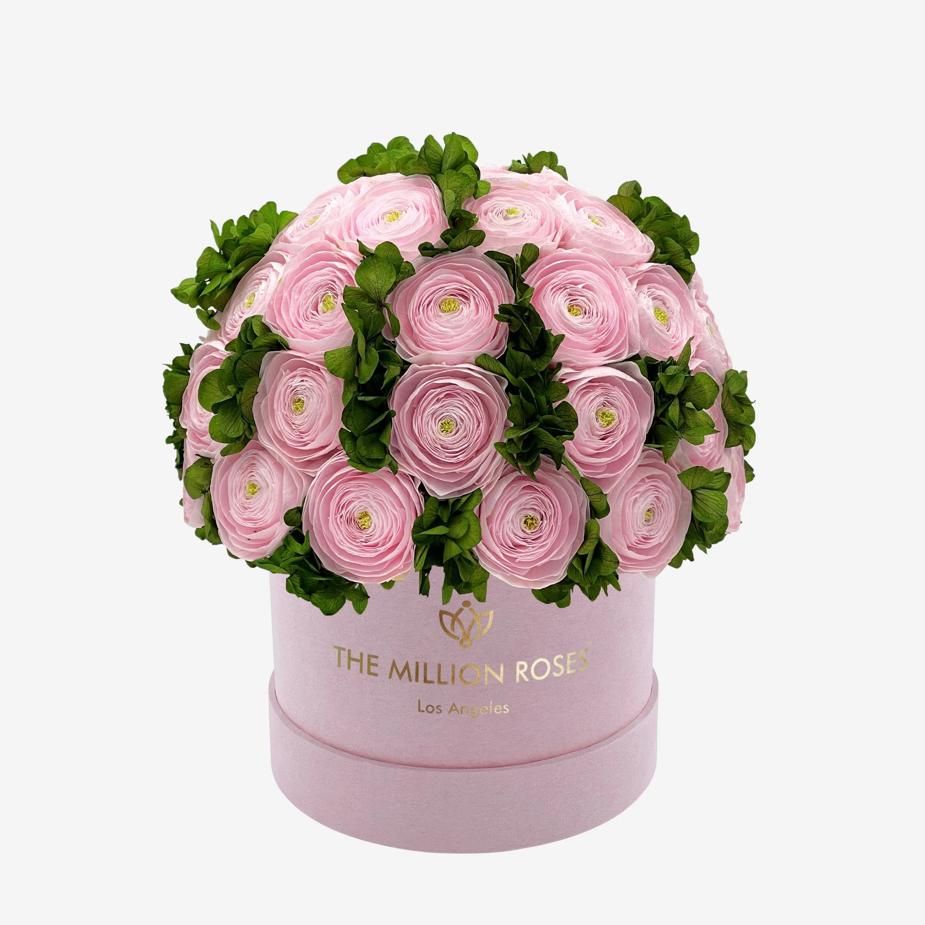 Classic Light Pink Suede Box | Light Pink Persian Buttercups & Green Hydrangeas