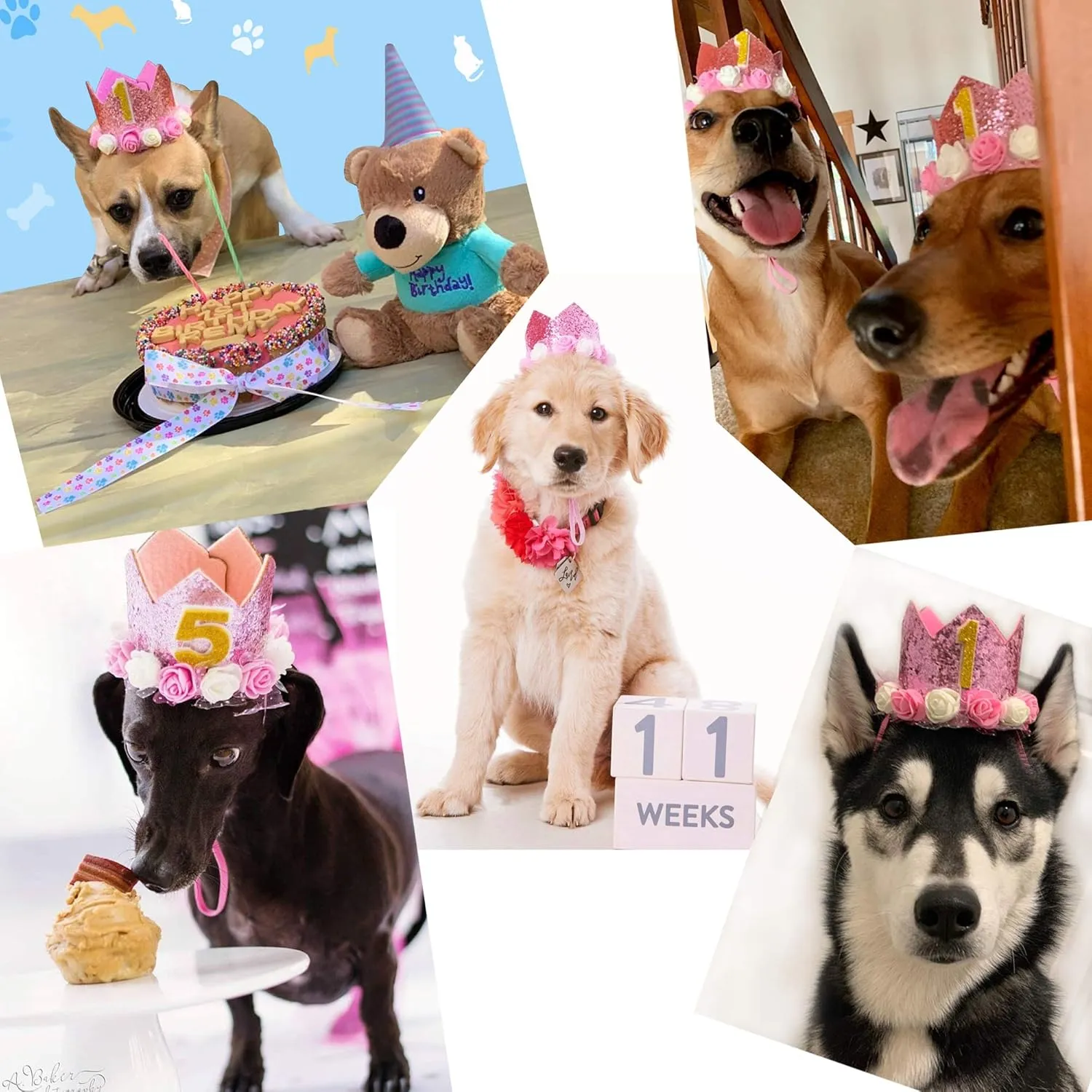 Dog Birthday Hat Adjustable Reusable Crown for Dogs Cats Puppy Kitten Birthday Party Headband with Numbers(Pink)
