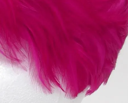 Fuchsia Feather Pillbox