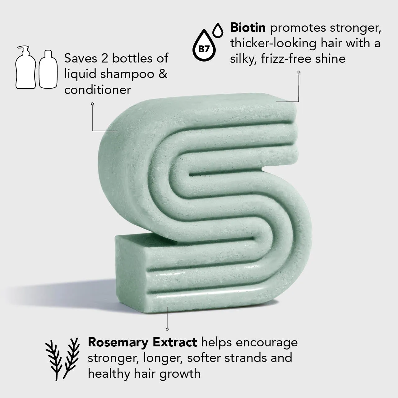 Rosemary & Biotin Shampoo   Conditioner Combo