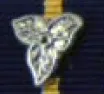 Undress Ribbon Bar - Devices